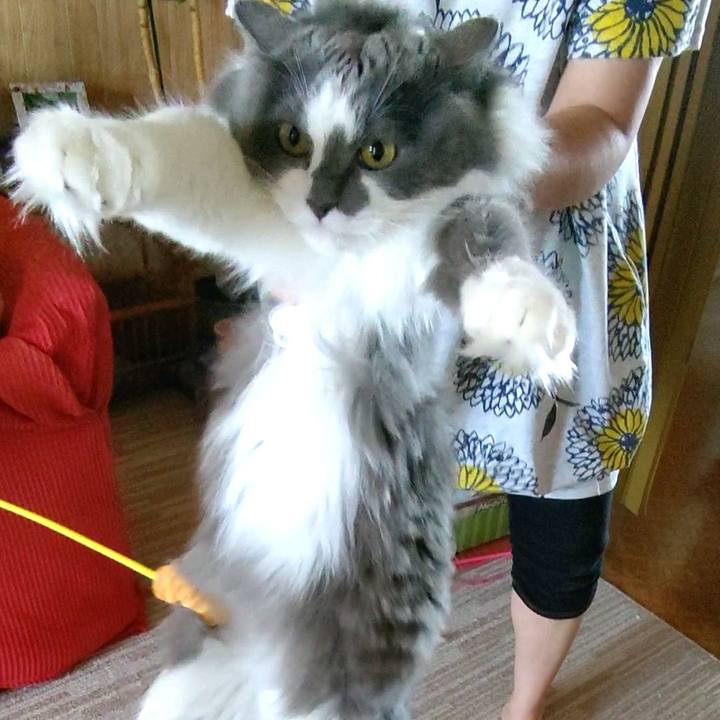 Ef097eba 02b4 4063 ae0c fe922e90a290 1597564763984