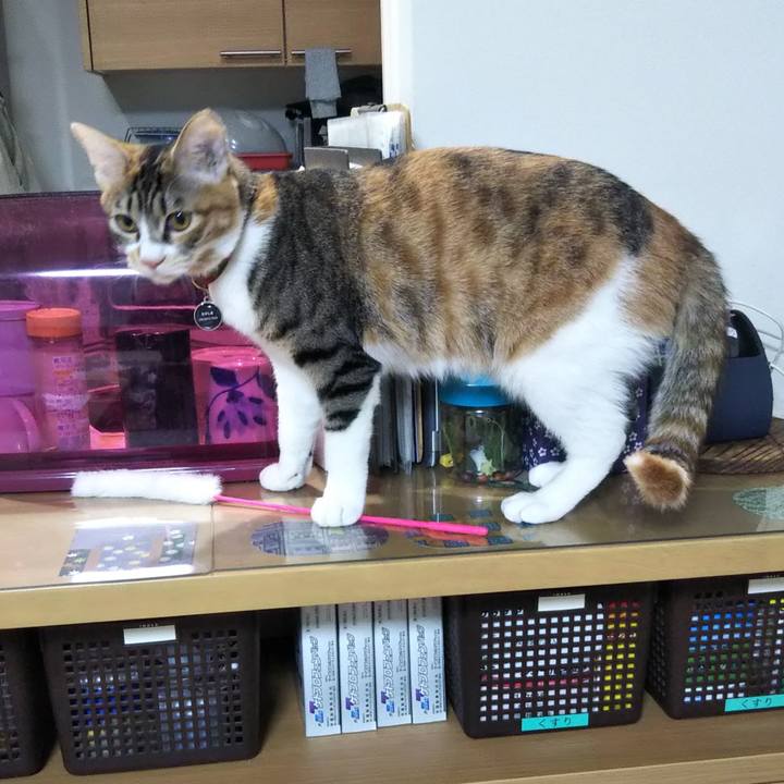 Ef09dada 92b9 40b5 bdb4 582d06535ac4 1641610857081