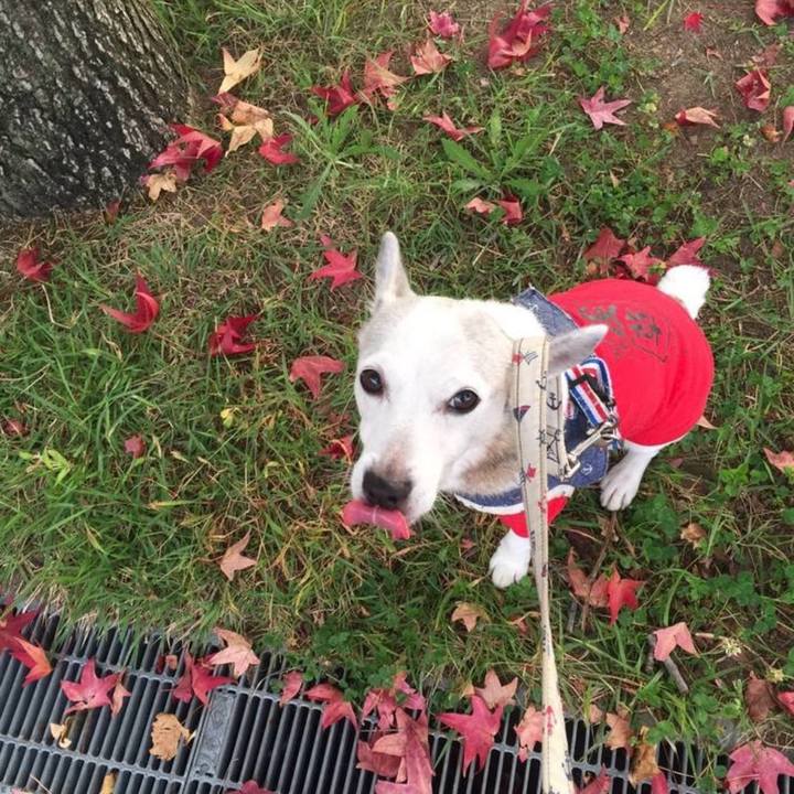 Ef0a2076 26f3 499b a98a 60d2664addea 1762985380105