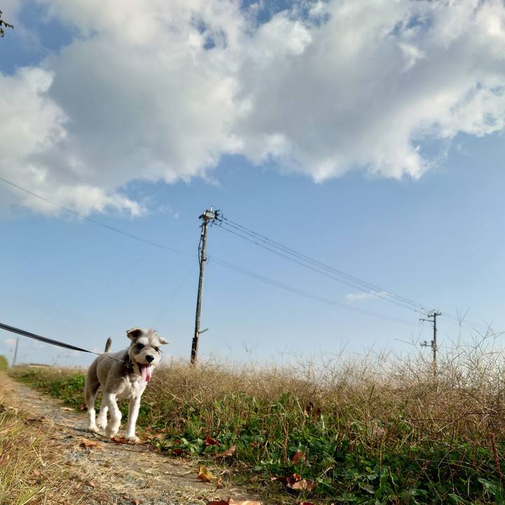 Ef0a273c 90b4 4d16 b4cd bd7a484fa998 1762482343118