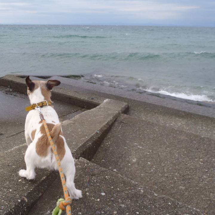 Ef0a7891 34e8 4c4f 8379 514f4a29ad01 1513957711041