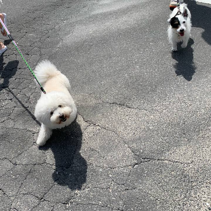 Ef0aa1ff 950a 4545 8a56 851efb9d8eb6 1715733113017