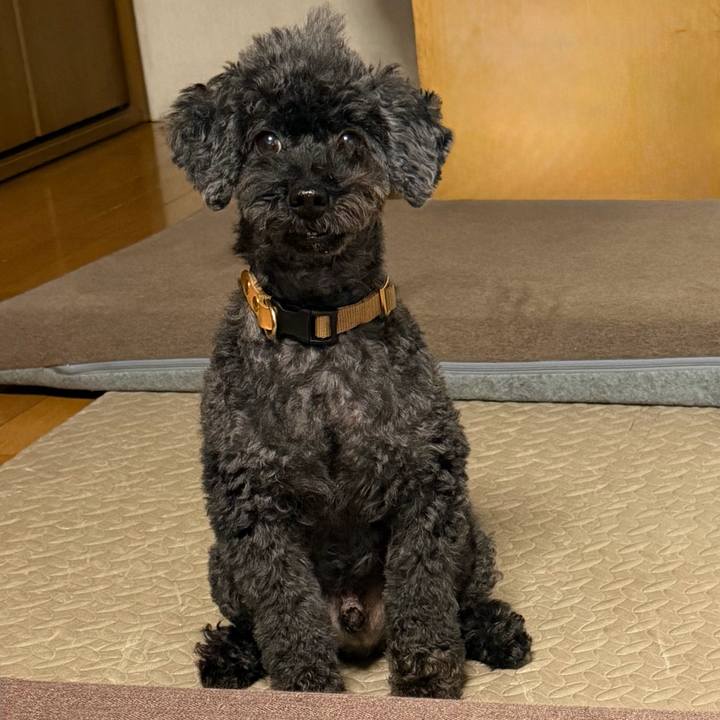 Ef0abfa1 2e56 4ac5 9c09 9ebcf087297a 1759556807411