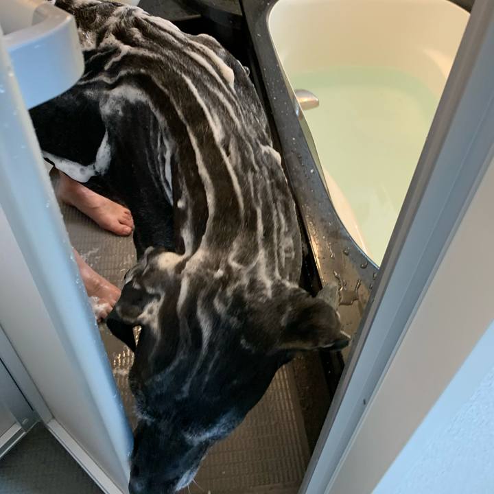 Ef0af5ea 01a1 4285 9d44 a46026c7a00f 1597023100731