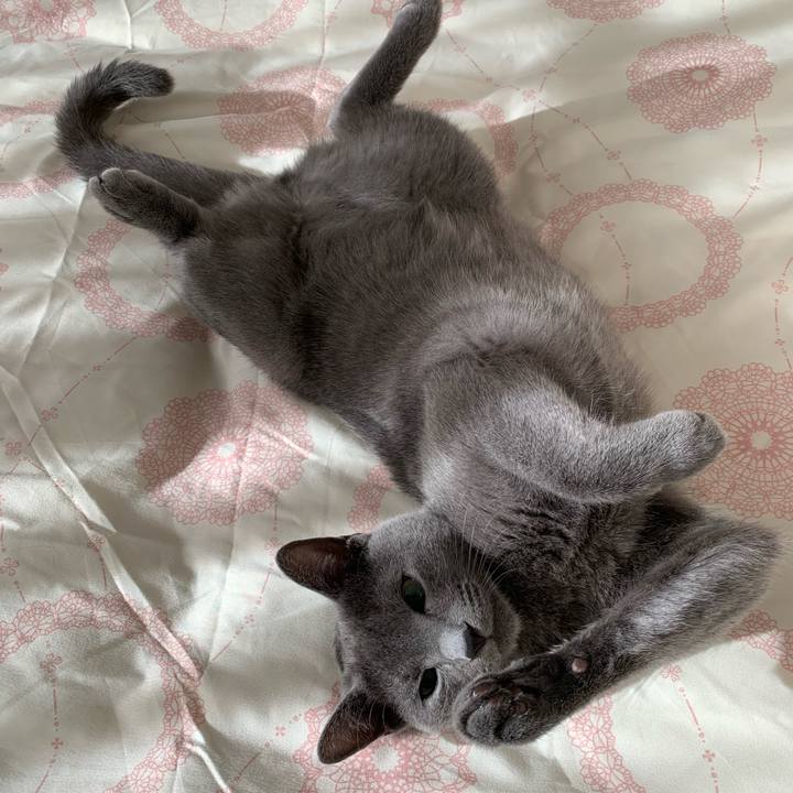 Ef0b172c fae3 44fd 9ca1 41af80a4bc8b 1578548015326