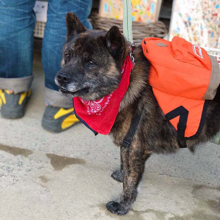 Ef0b1766 ca30 465a a2f4 cafd103376bd 1556979365373