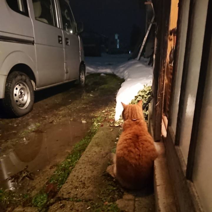 Ef0b2a54 17ed 4e2b bcd9 8ef628ee0b3e 1608800587420