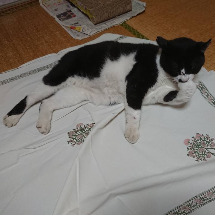 Ef0b34ab 97ef 44b3 bcf9 b84415c1fa69 1598224968970