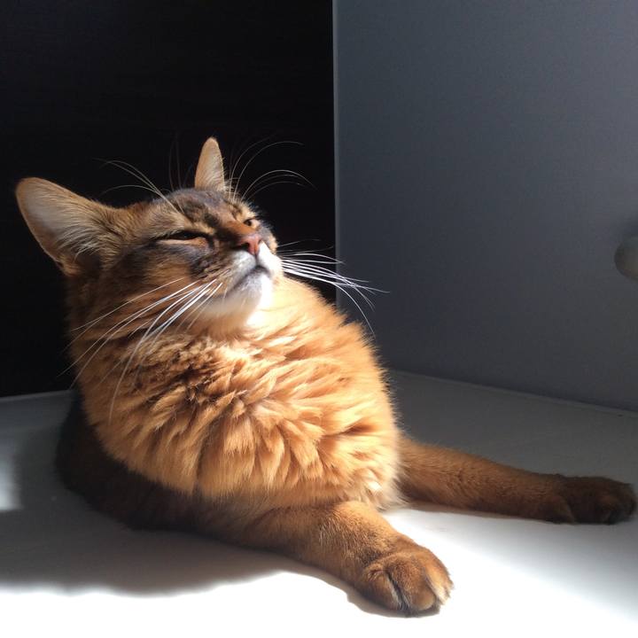 Ef0b390d 84ae 4c27 92bb d3f0fd37113c 1616745943198