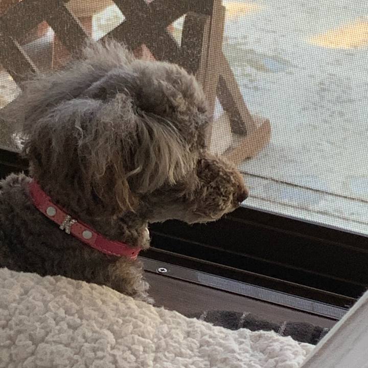 Ef0b4672 1be9 464c 82e5 57e62d7c2c27 1598824428742