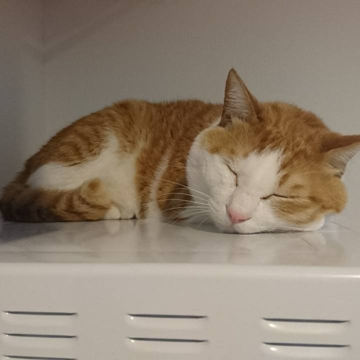 Ef0b6eee 5567 4248 a772 417f0b191dcd 1525698316050