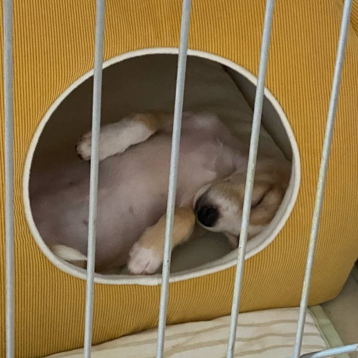 Ef0b82e6 416c 4350 9261 dcf7cb7f3ac8 1661563039674