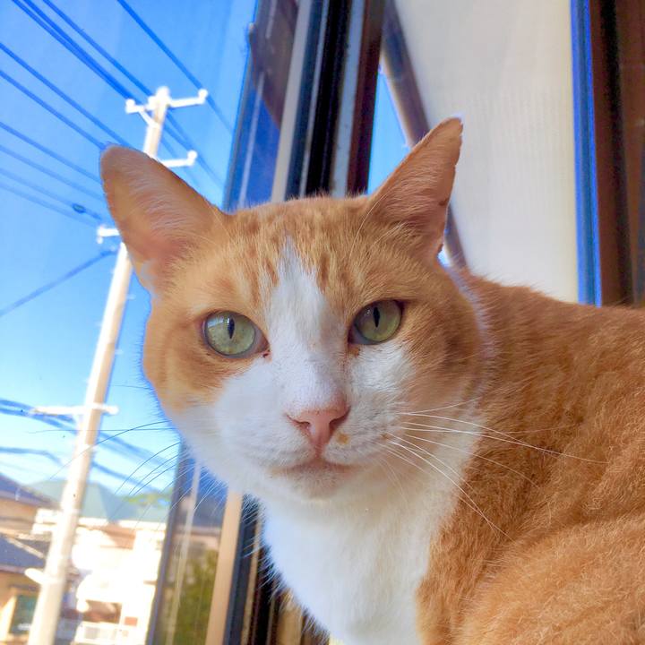 Ef0b8916 debf 464c 96bb a0af085bf663 1569812349808