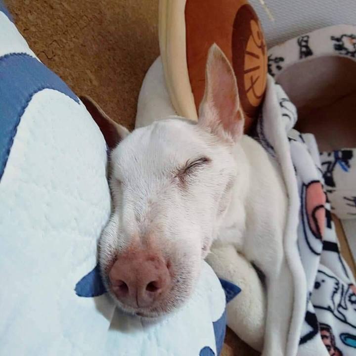 Ef0b9c3c 9c13 4eac a861 dae48708d364 1659740100215