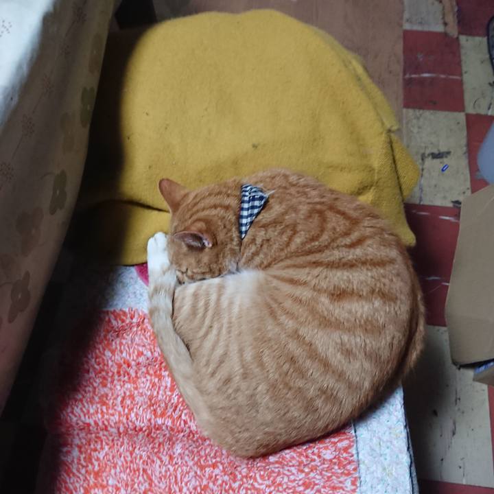 Ef0ba441 8135 49fb 9571 eb52aa84f130 1572395335335