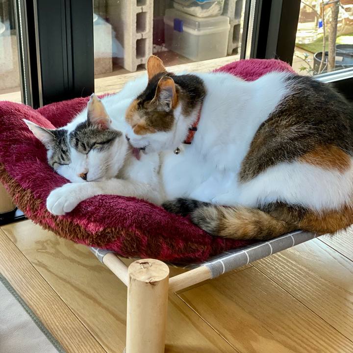 Ef0bb5c2 41f5 4164 8f9d d86f53e62fa3 1677895531069