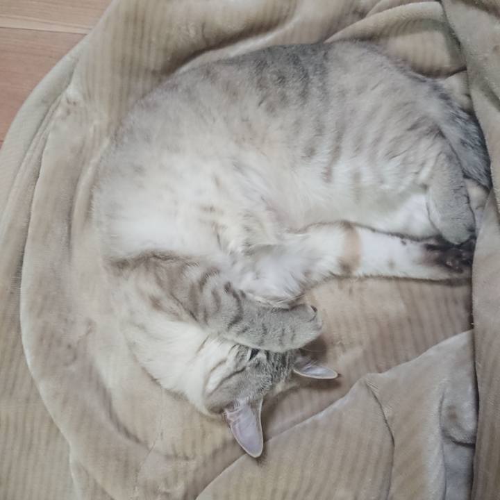 Ef0bc816 99ba 49cb 885d 26679b6fed73 1523236952682