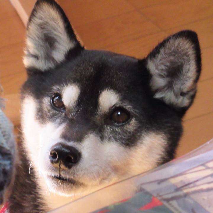 Ef0bd0a7 858a 4bb4 9d95 f33c48a7a961 1546310693236