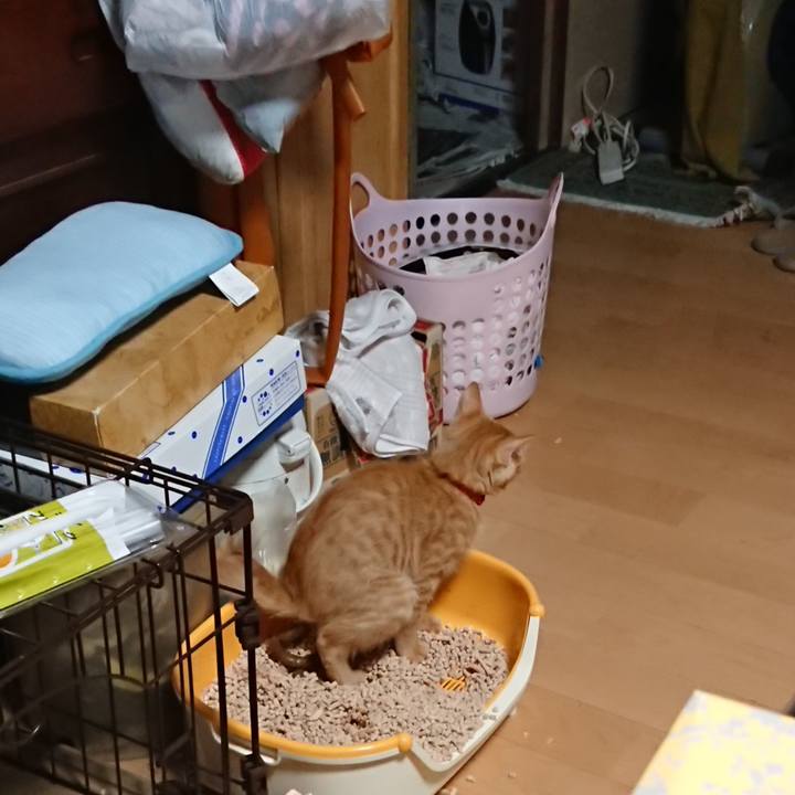 Ef0bd0e2 3e3b 40ad 9bfc bec91aacbd39 1632346035683