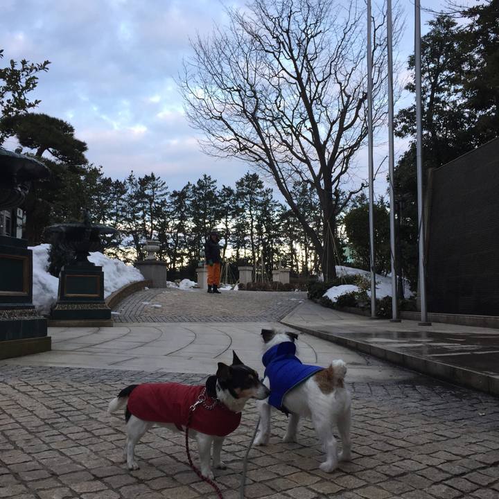 Ef0bd2dd 3cb6 4856 9092 deabed2c1b8d 1518740401133