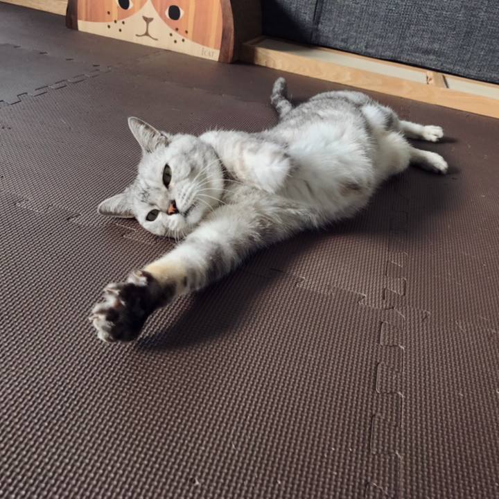 Ef0bf757 9b48 4dd0 a757 5ccae66d047f 1603682161971