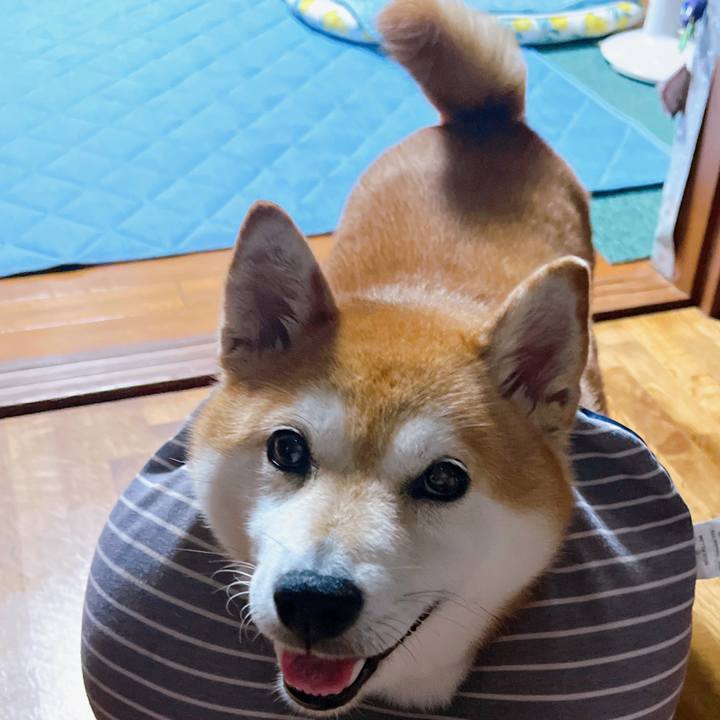 Ef0bfe00 70f0 409e a1e7 ecc53afa7825 1694872614322