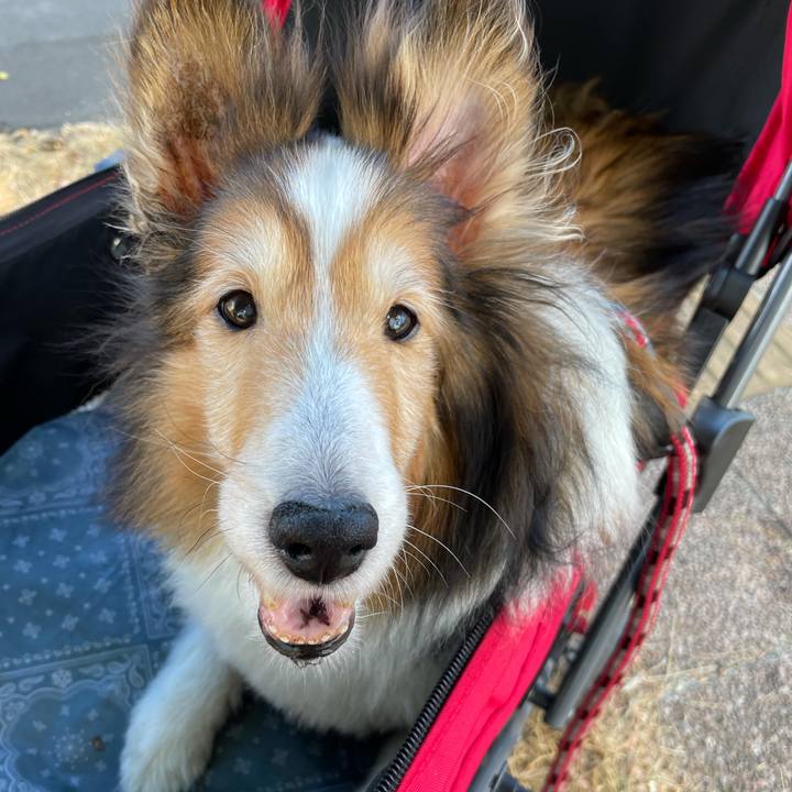 Ef0c0356 ce14 46d0 a512 3805d2edcada 1628309704454