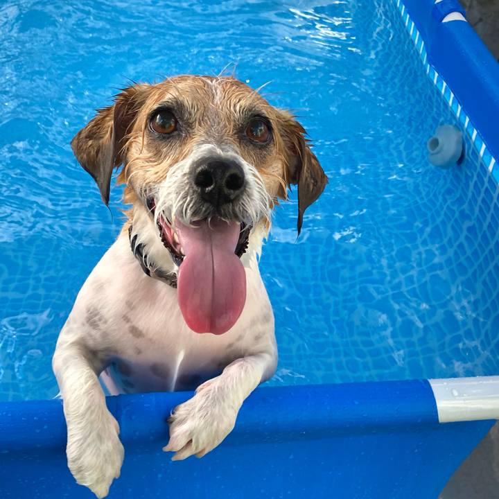 Ef0c040e 7927 42d8 8775 36178b470839 1660477839420