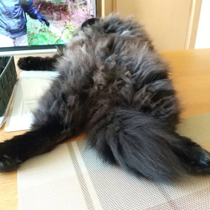 Ef0c2a78 ae67 4c53 939d c45d378af457 1686984883604