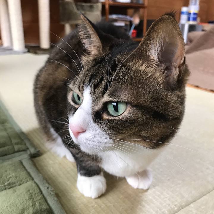 Ef0c4359 6137 4bb5 a6e8 455e097277be 1519259683436