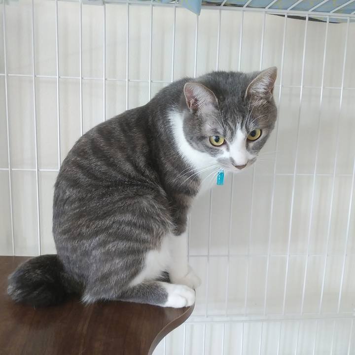 Ef0c4e0e 53d6 475d af53 386f83067a49 1588210251201