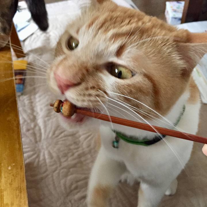 Ef0c51d8 3757 466a a2db 1db2bf29aa8c 1620439940302