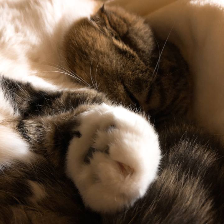 Ef0c82d2 c549 4adb bf46 1ff9ff430912 1547208843726