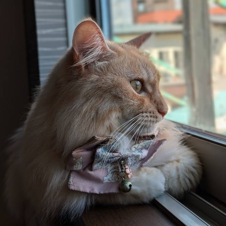 Ef0c9609 7ea0 4bc5 955c 3ac8214445df 1726282387709