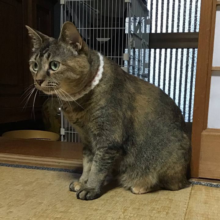 Ef0cca02 2277 4a69 94df 40697ddb3d40 1752572292851