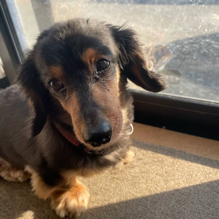 Ef0cea1e e7d3 41ff 91ba bbc7770cd049 1618955326958