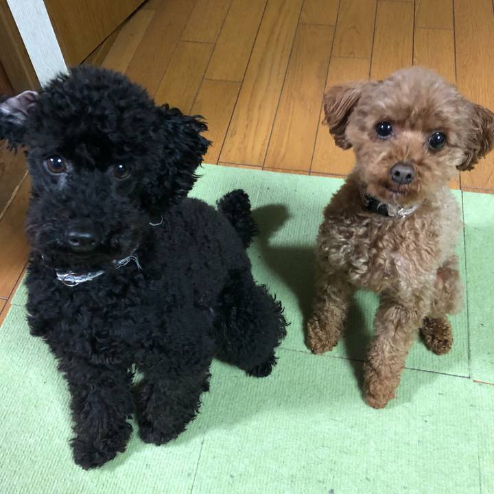 Ef0cef01 89fc 4e7a 8817 2f9ca71f54de 1551865590756