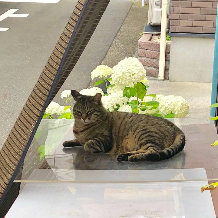 Ef0cf5c0 064a 4ab5 bd39 dd89e4343383 1528871266745