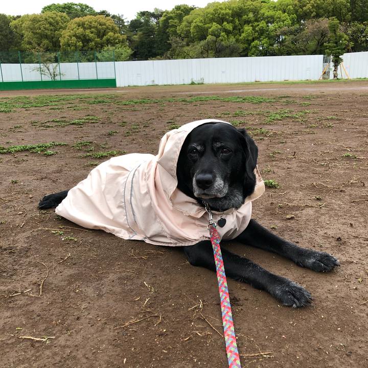 Ef0d17c6 53bb 49d2 9028 136eaaaacdb2 1617607251049