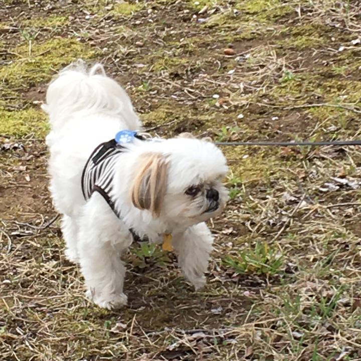 Ef0d2fc7 8c9e 412b b1f5 317992c8e1e6 1585368557018