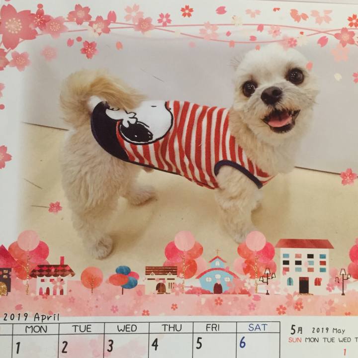 Ef0d4e02 6a16 46bb 86fa 6df6f7d85ebe 1555323879644