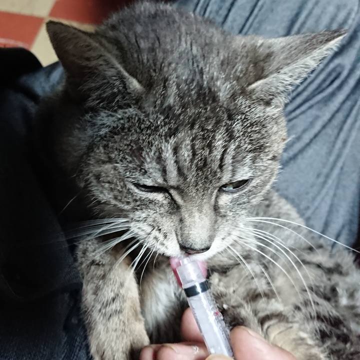 Ef0d54e8 fb1e 4166 b06e 9bb537c271f8 1578606650584