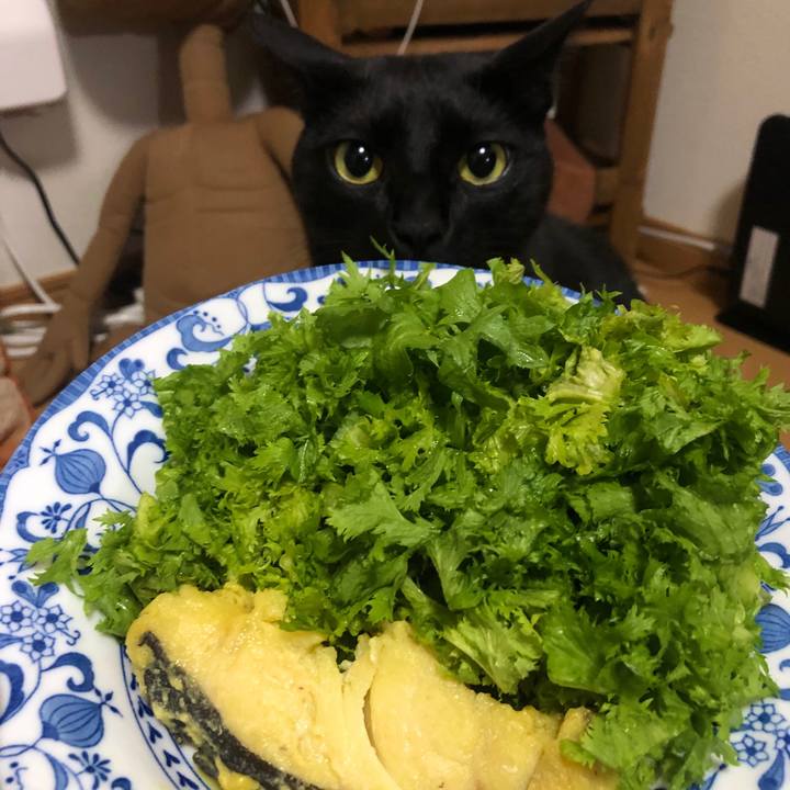 Ef0d89f0 19b9 45a2 8295 d91f902d6fa2 1583152940745