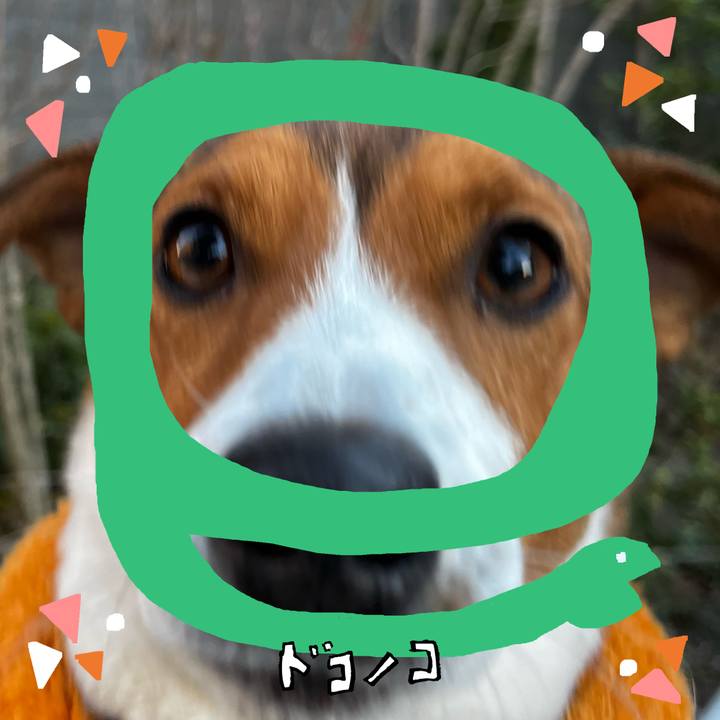 Ef0da694 db98 4068 9743 ad671fb5e792 1741059105739