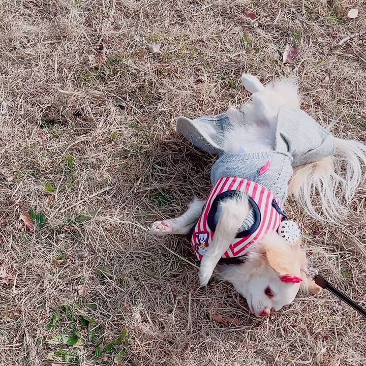 Ef0dac19 b593 4155 b4fe a8f6d02cec8b 1704618238552