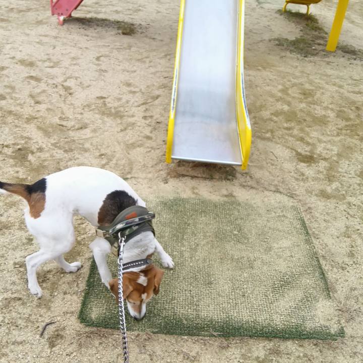 Ef0dfec0 db7b 4aaf 8da1 4efcb4dec0d7 1738825513513