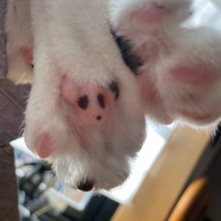 Ef0e04fe 89f5 435a aed1 7332bbde24fd 1672533765080