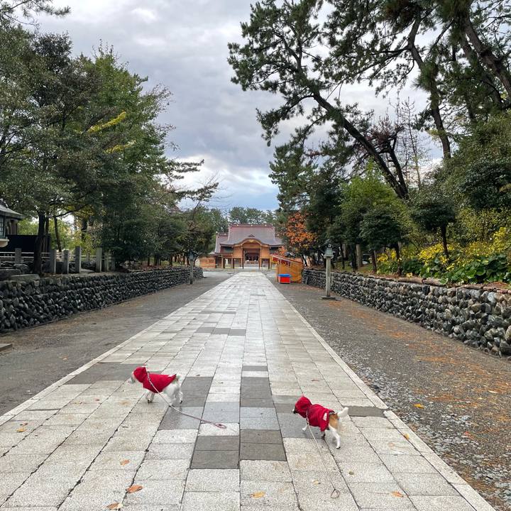 Ef0e25cf d1d7 4b44 adec e15cc70d79e9 1636932165216