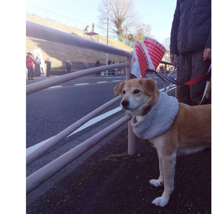 Ef0e493f 1a7d 4a94 ac57 d7fab7dca097 1546473958447