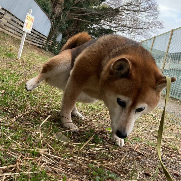 Ef0e5430 3775 494e a3eb 12f96afda46d 1708129241155